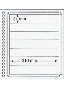 Fogli in cartoncino a 7 strisce finissima qualità 210 mm X 31 mm per ditta Marini e Abafil